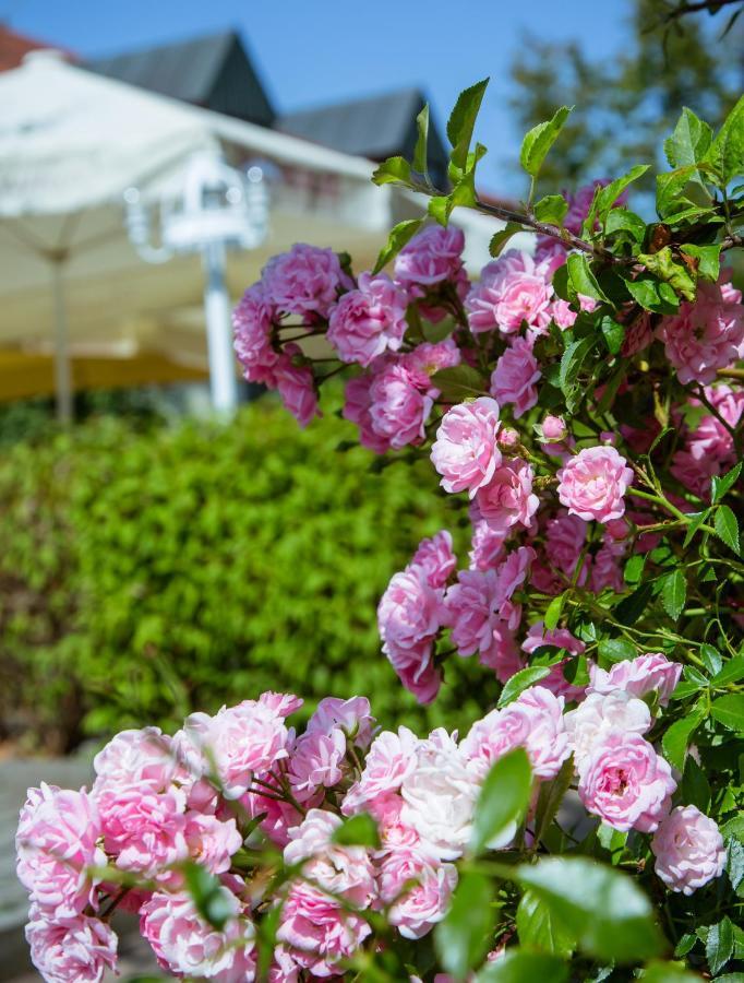 Landhotel Schneider รีเดนแบร์ก ภายนอก รูปภาพ